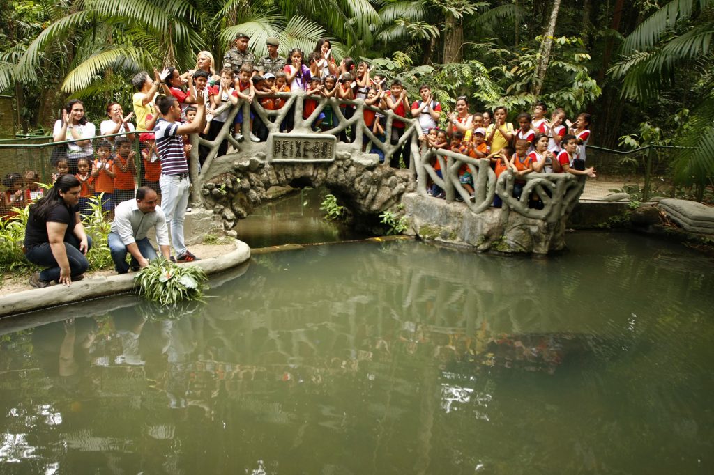 2015.09.22 - PA - Belém - Brasil: Programação do Dia da Árvore no Bosque Rodrigues Alves. Comemoração do aniversário de 59 anos do peixe boi