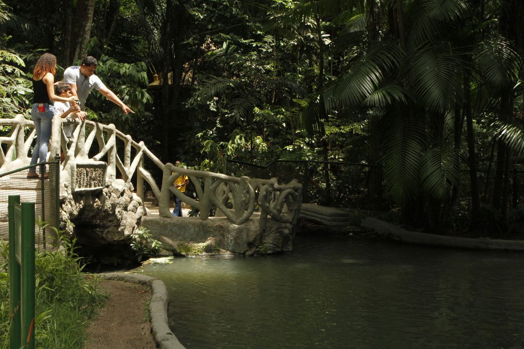 2015.10.26 - PA - Belém - Brasil: Movimentação no Bosque Rodrigues Alves - Feriado de Recírio.
