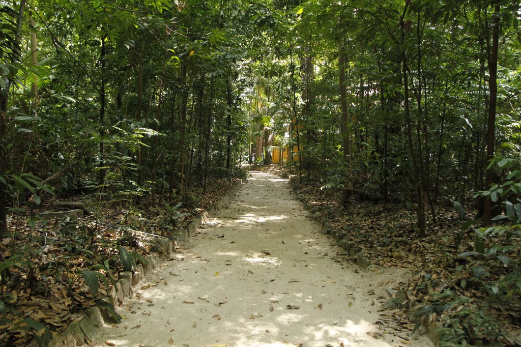 2015.10.26 - PA - Belém - Brasil: Movimentação no Bosque Rodrigues Alves - Feriado de Recírio.