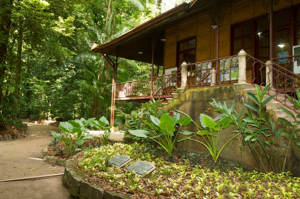 2016.08.25 - PA - Belém - Brasil: Aniversário de 133 anos do Bosque Rodrigues Alves.