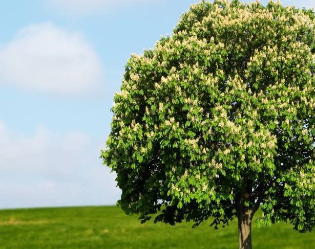 photo_5082777513880562381_x