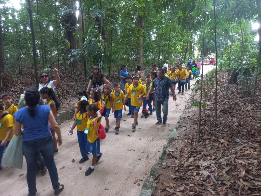 As crianças do centro educacional do bairro da Terra Firme começaram a programação do Dia da Árvore no Bosque Rodrigues Alves participando de uma trilha ecológica
