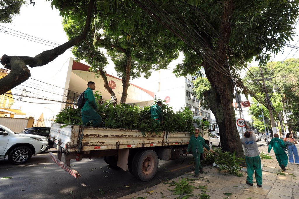 Entre 1º de janeiro a 27 de novembro de 2023, houve o tombamento de 41 árvores em Belém. Os números indicam redução de 45% em relação ao mesmo período do ano passado, quando 75 árvores caíram na cidade